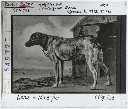 Vorschaubild Paulus Potter: Wolfshund. Leningrad, Eremitage 